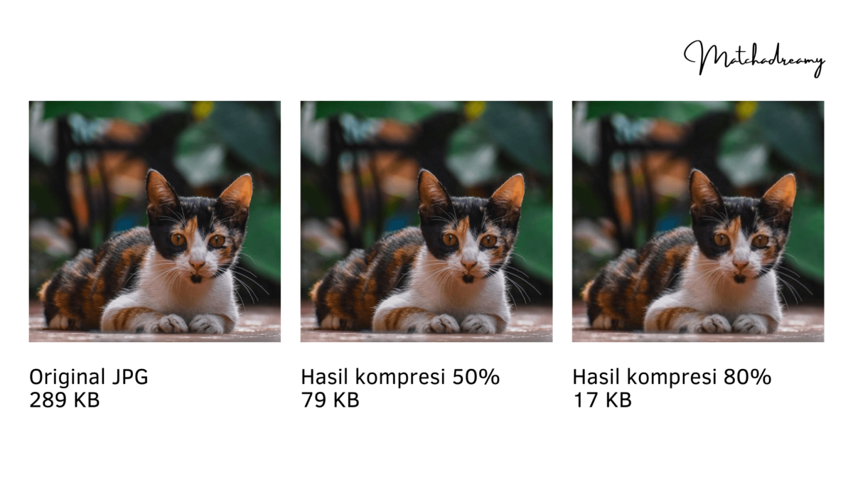 tips optimasi gambar website cara optimasi gambar website