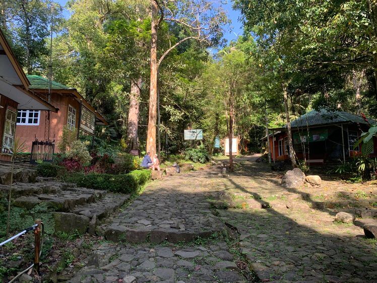 taman nasional gunung gede pangrango tnggp