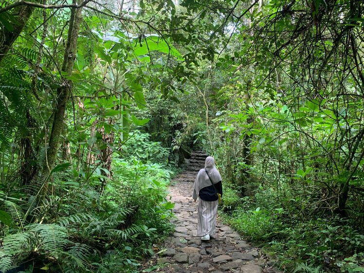 trekking menuju Curug cibereum