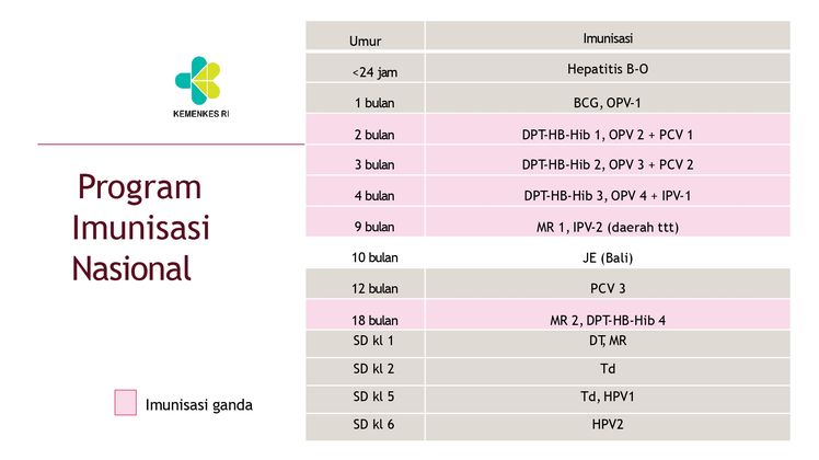 program imunisasi nasional program imunisasi nasional