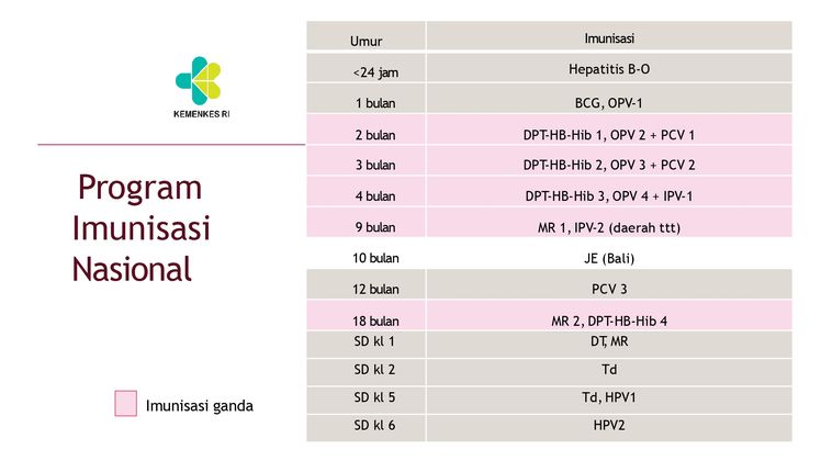 program imunisasi nasional