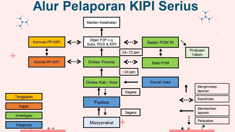 alur pelaporan kipi serius imunisasi