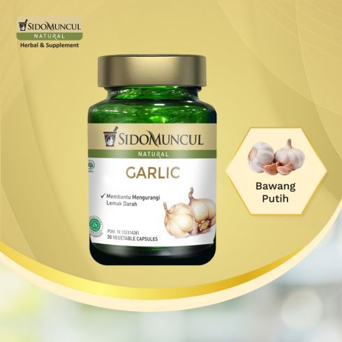 sido muncul garlic herbal