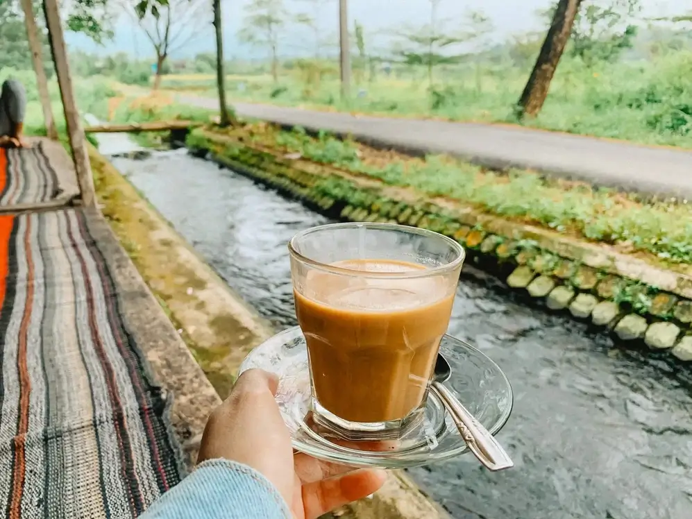 Relaxing coffee experience surrounded by nature at Kang Sute