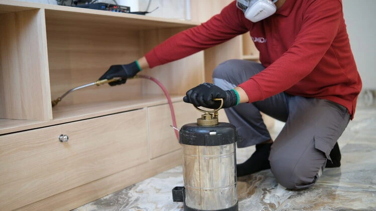 Teknisi pest control melakukan inspeksi rayap di dalam rumah