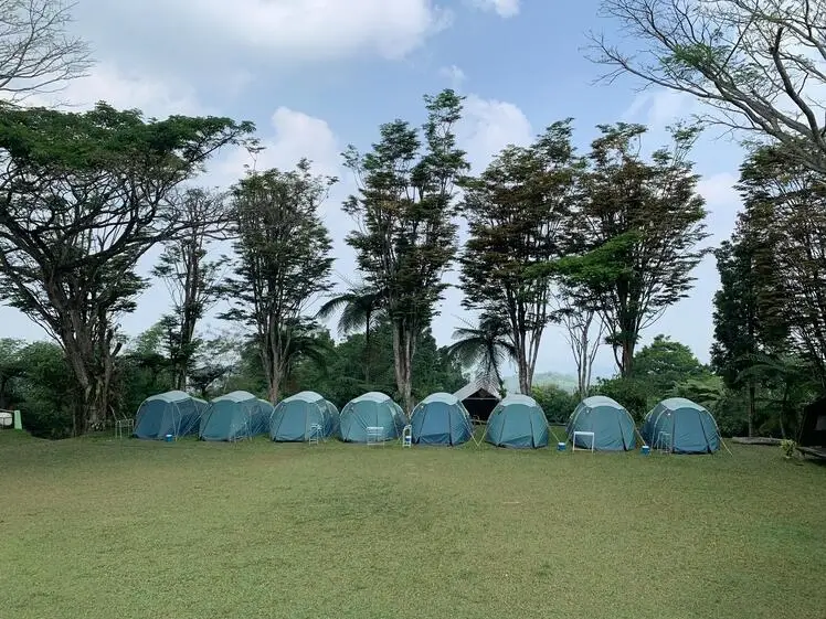 Tanakita campground surrounded by trees and greenery