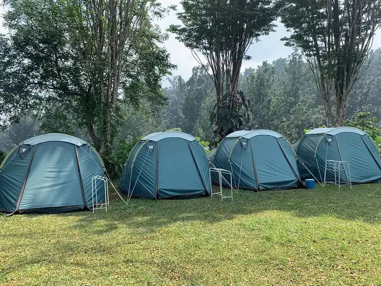 Tents set up across the grassy Tanakita campsite