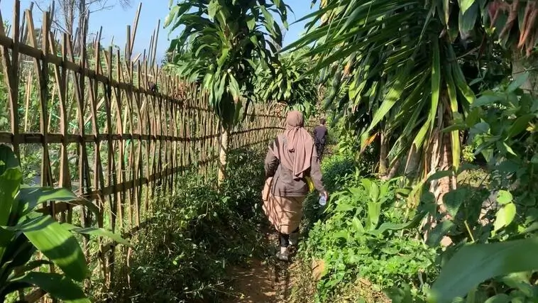 Trekking trail through the greenery at Tanakita in Sukabumi